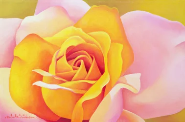 Růže, 2002